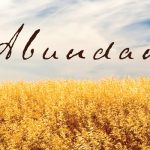 Decluttering Your Entire Life Will Bring You Abundance